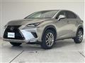 2020 Lexus NX