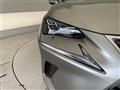 2020 Lexus NX
