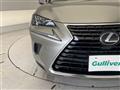 2020 Lexus NX