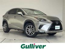 2020 Lexus NX