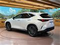 2023 Lexus NX