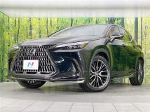 2023 Lexus NX