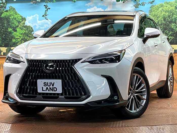 2023 Lexus NX
