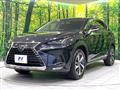 2019 Lexus NX