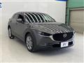 2019 Mazda Mazda Others