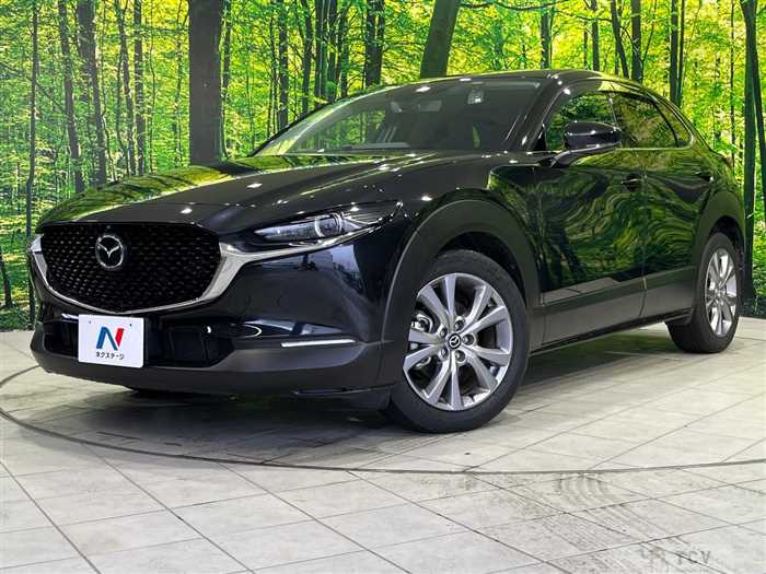 2019 Mazda Mazda Others