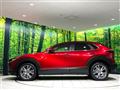 2020 Mazda Mazda Others