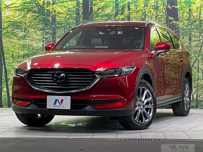 2019 Mazda CX-8