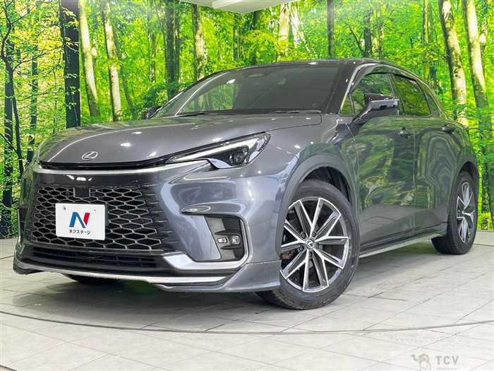 2024 Lexus Other