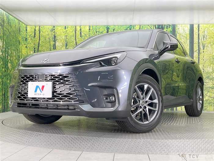 2025 Lexus Other