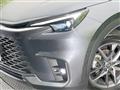 2025 Lexus Other