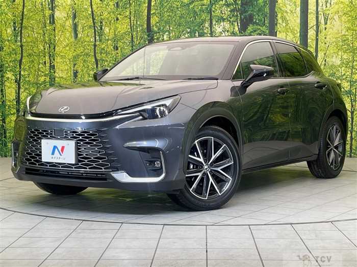 2025 Lexus Other
