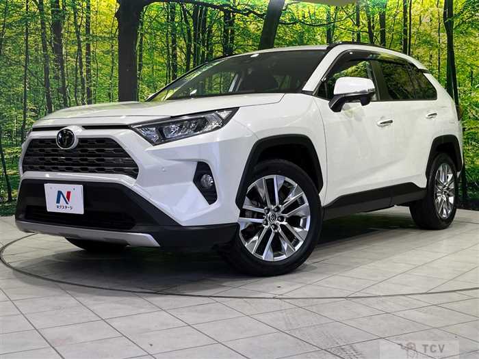 2020 Toyota RAV4