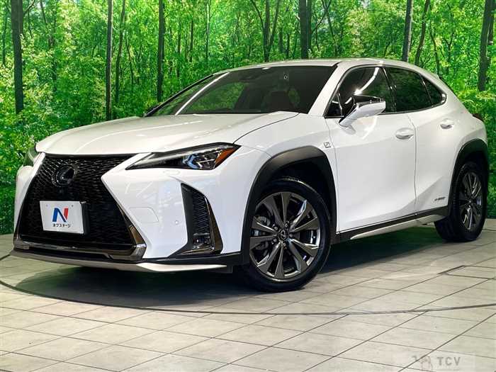 2019 Lexus Other