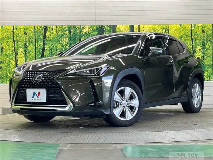 2019 Lexus Other