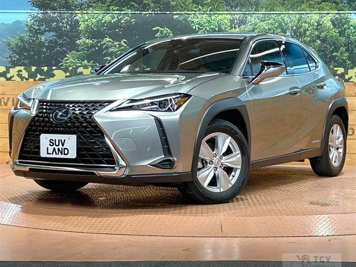 2020 Lexus Other