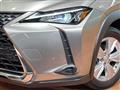 2020 Lexus Other