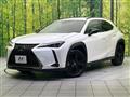 2021 Lexus Other