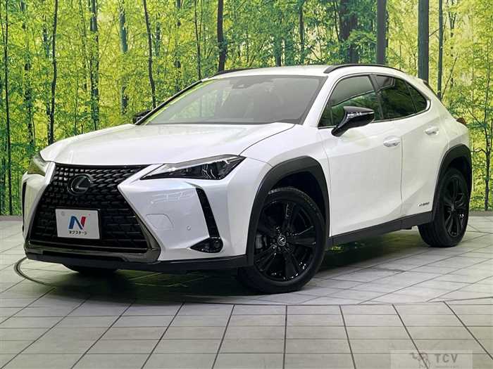 2021 Lexus Other