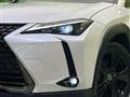 2021 Lexus Other