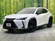 2021 Lexus Other