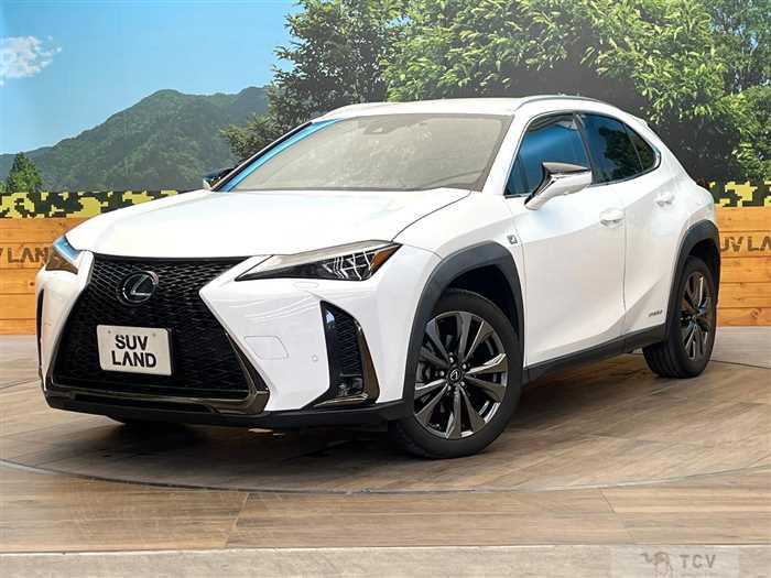 2021 Lexus Other