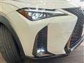 2021 Lexus Other