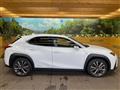 2021 Lexus Other