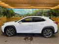 2021 Lexus Other