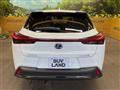 2021 Lexus Other