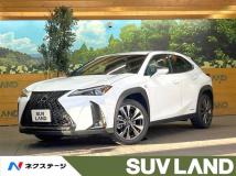 2021 Lexus Other