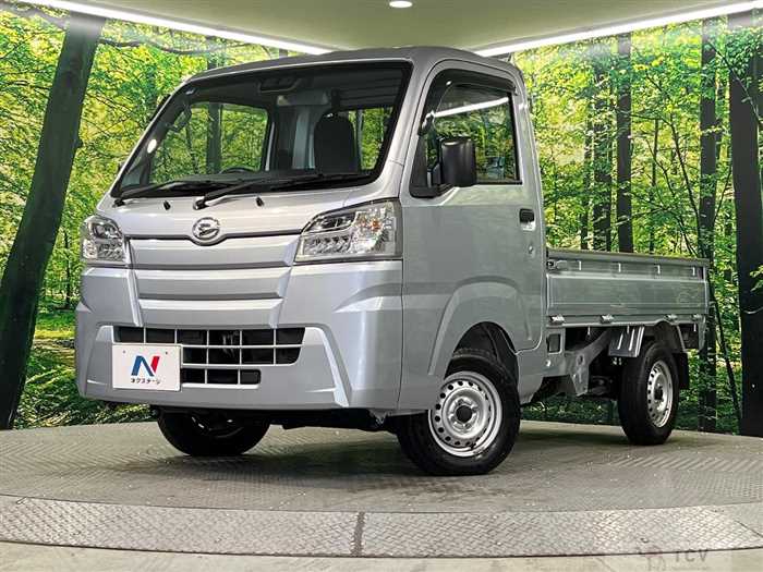 2021 Daihatsu Hijet Truck
