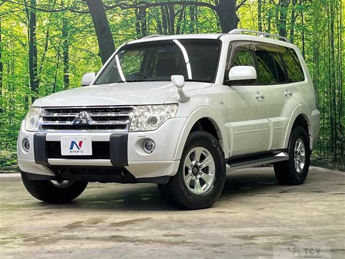 2010 Mitsubishi Pajero
