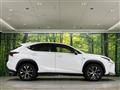 2015 Lexus NX