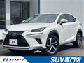 2017 Lexus NX