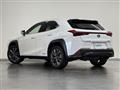 2020 Lexus UX