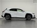2020 Lexus UX