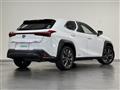 2020 Lexus UX