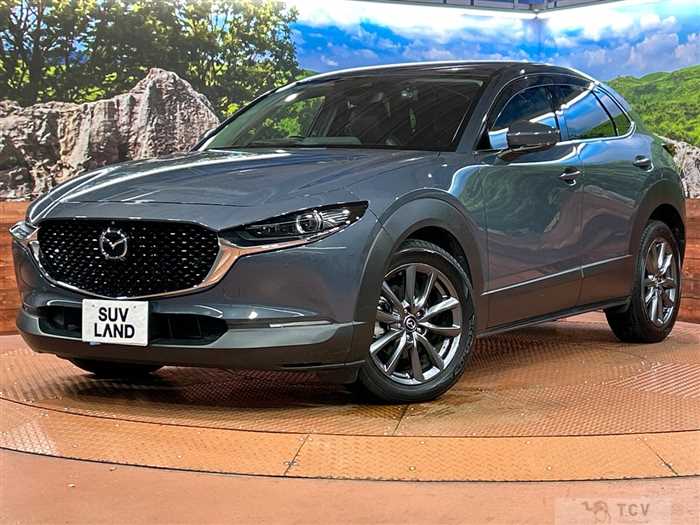 2019 Mazda Mazda Others