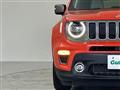 2019 Chrysler Renegade