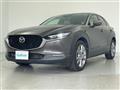 2019 Mazda CX-3