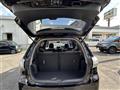 2013 Toyota Wish
