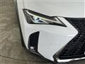 2018 Lexus UX