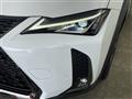 2018 Lexus UX