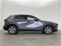 2020 Mazda CX-3