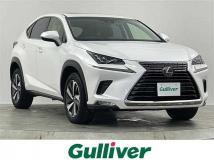 2018 Lexus NX