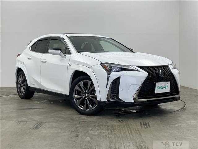 2019 Lexus UX