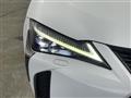 2019 Lexus UX