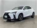 2019 Lexus UX