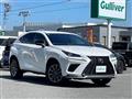 2021 Lexus NX